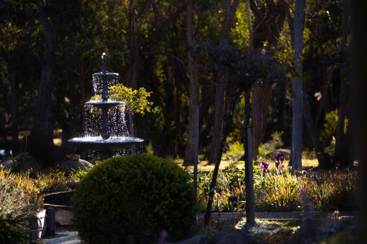 Girraween Country Inn Ballandean Dış mekan fotoğraf